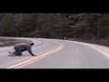 Longboarding in Alaska, bombing hills and some blood too!!!