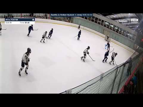 Murphy Foster #3 Game Shifts 2/2/25 PNAHA WA State 14u Tier 1 Championship