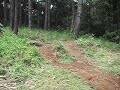 cikole do