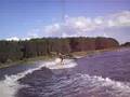 waveboard