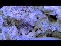 My Aquarium 2