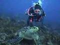 TORTUGAS