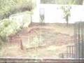 IIMC Dhenkanal