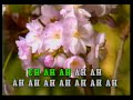 KARAOKE - Nelly Furtado - Maneater