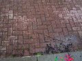 WATER BALLON BOMBING TAKE ONE!!