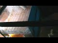 DIY sump 15gals