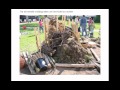 bijenparadijs Hoornse Meer 2011.wmv