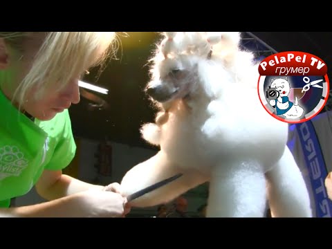 Анна бардышева мастер класс ютуб Анна бардышева мастер класс ютуб