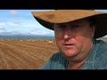 australias-wild-parrots-cockatoos-pbs-special-part-2-of-2-.html