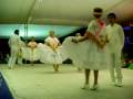 videos de Huapango veracruzano