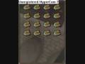 videos de Runescape Woodcutting Video
