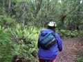 Chris riding Tree Trunk Gorge Chris riding Tree Trunk Gorge