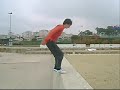 The CHECHENS SALTO