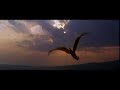 Dragonheart Runaway