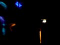 Rewind DJ\