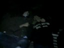 puta foca