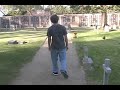 Anti-Tobacco Video