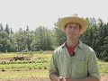 Some North American consumers are trying to reduce their carbon footprint by changing what they eat. A look at 