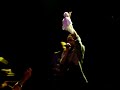 damian-marley-welcome-to-jamrock-summerjam-2006germany.html