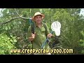 What is an Arthropod? What is an Arthropod?