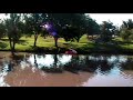 t-rexs water crash