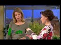 Dolce vita - Enlever les t�ches tenaces, du 24.01.2008