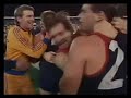 1987 Night Grand Final: Melbourne V Essendon