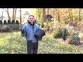 November Gardener\ November Gardener\