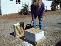 UGA Experimental PROTOTYPE Beehive powdered sugar Varroa Mite Duster at Athens Georgia University Bee Lab. This is a TEST unit to apply powdered sugar into a Beehive from bottom thru a screened bottom board without opening hive top. This VIDEO is for ideas ONLY as I Don't use this but if you do, I see some benefit but also problems. An alternative to opening large numbers of beehives to top bar dust, This was at a Spring 2010 Farm Bureau Honeybee meeting. Other Varroa Mite treatments at georgiabees.blogspot.com Might also be used for terramycin foul brood treatments into brood nest, AGAIN this is a University of Georgia idea, DON'T bombard me with questions or criticism,just relaying a possible idea for other Beekeepers.