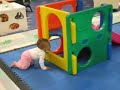 Malika Treynor \"This is why I love Toddler Class\"