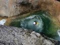 mascun