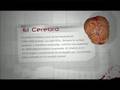 Sistema Cardiovascular (con audio)