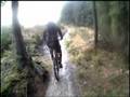 COED LLANDEGLA PART 1/3 NORTH WALES 26.10.08