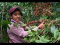 Visitaquezaltepeque