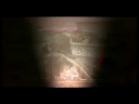 No-Scope Montage