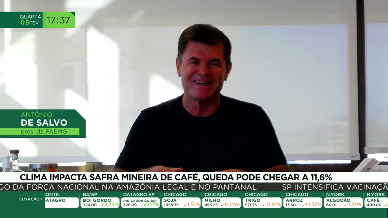 Clima impacta safra mineira de café, queda pode a 11,6%