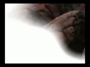 naruto chop suey