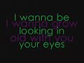 DJ Limmer - I wanna grow old with you with lyrics