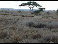 The Kill Serengeti NP