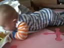 Countdown To Crawling Countdown To Crawling