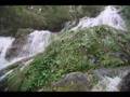 videos de Tamaulipas