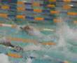 50m-free-Mark-Foster
