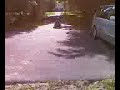 very close wagon accident (0618071623.3g2) very close wagon accident (0618071623.3g2)