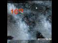videos de Siamo Insignificanti