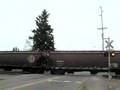 BNSF Stampede Pass Auburn, WA Grain Train
