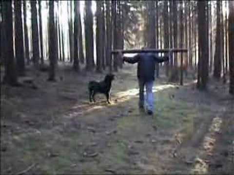 ROTWEILLER