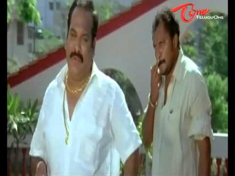 Swethabasu Prasad, Prakash Raj, Aahuthi Prasad, Jayasudha, Praveen, Dilraju, AddalaSrikanth, kotasrinivasaRao, surendraReddy, Nagendrababu, Raghubabusivajiraja, sivaji, srkanth, viswanath, Brahmanandam, sneha, Raasi