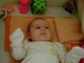 Amelia 3