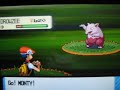 Shiny Drowzee (1 of 4) pokeradar chain 40 pokemon diamond