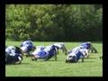 Coach Cahill talks about this weekends game